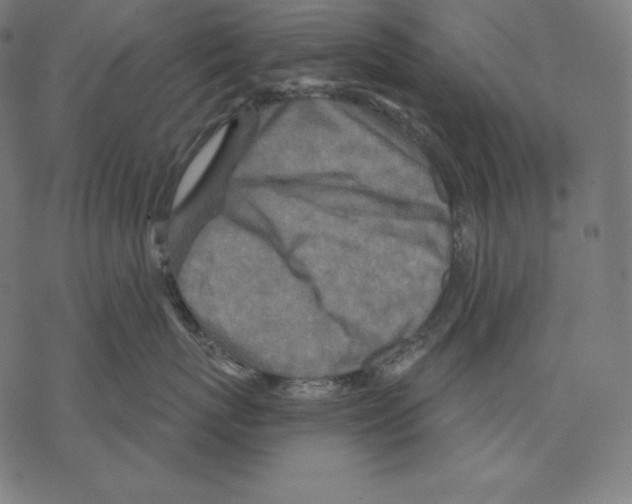 X0000067860767200605111734