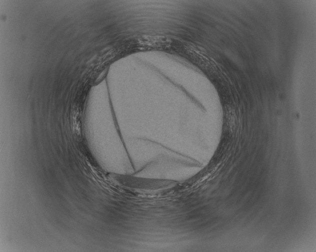 X0000067860770200605111733