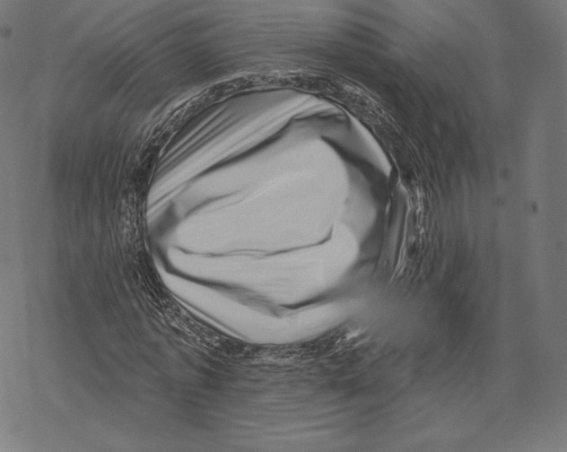 X0000067860773200605111733
