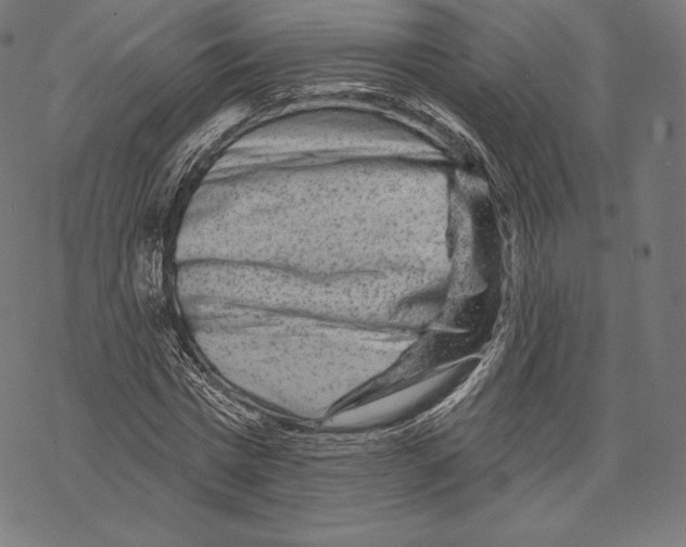X0000067860777200605111733