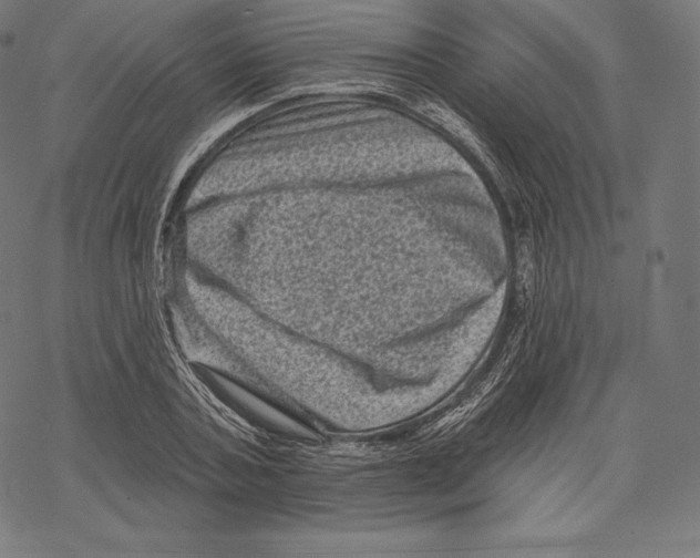 X0000067860787200605111733