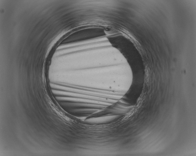 X0000067860788200605111732
