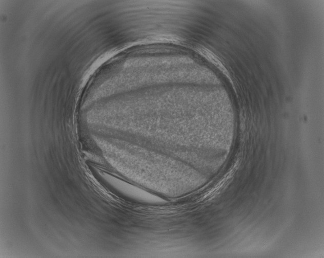 X0000067860789200605111732