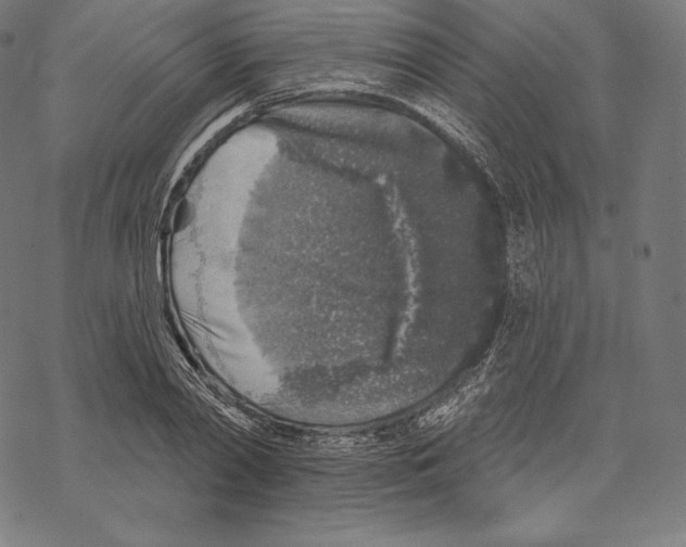 X0000067860790200605111732