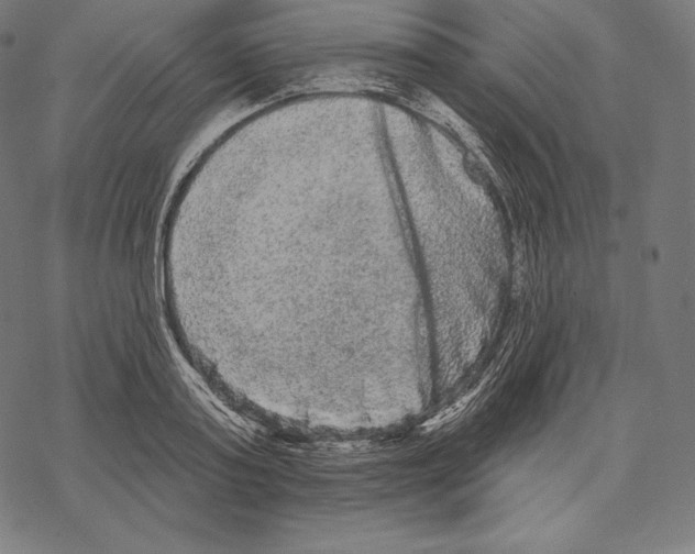 X0000067860795200605111732