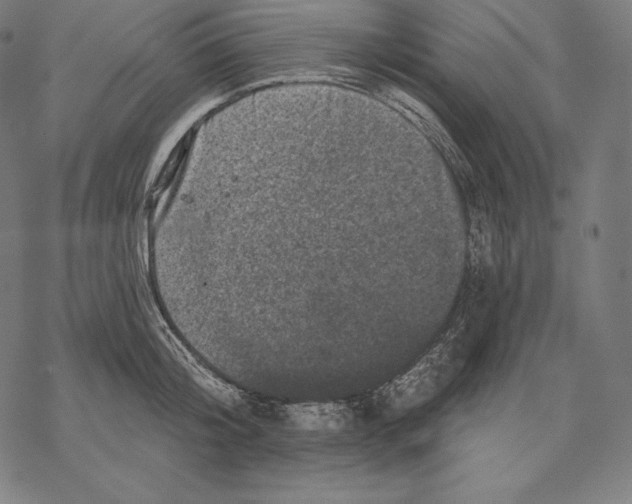 X0000067860804200605111732