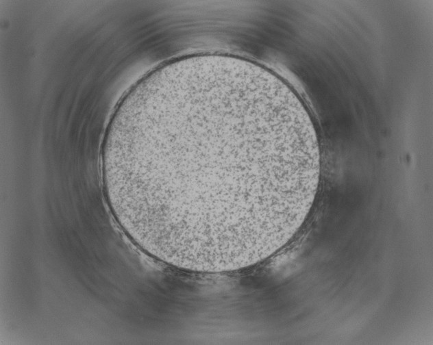 X0000067860807200605111732