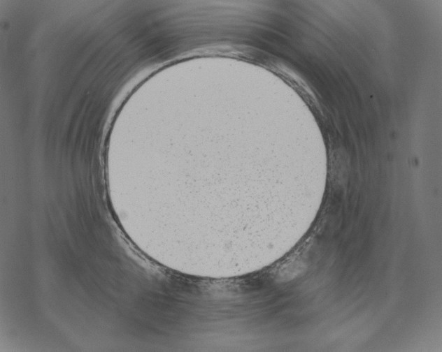 X0000067860808200605111732