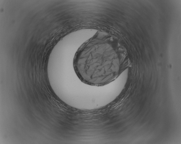 X0000067860818200605111731