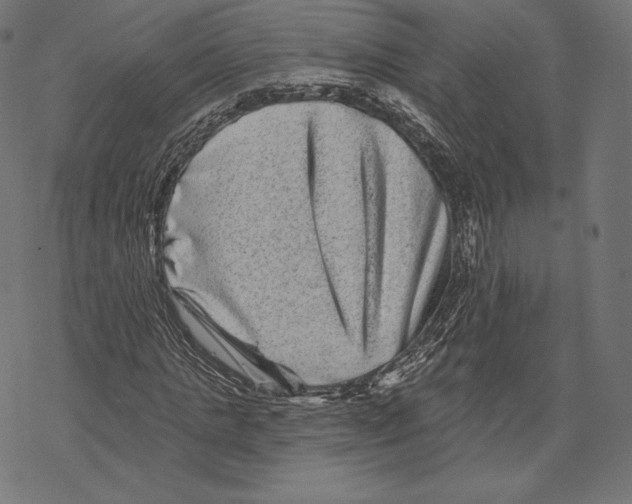 X0000067860821200605111731