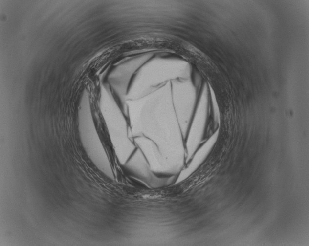 X0000067860822200605111731