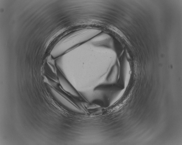 X0000067860826200605111731