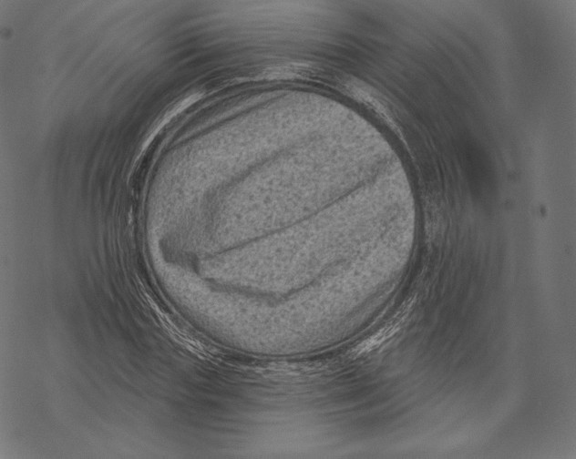 X0000067860827200605111731