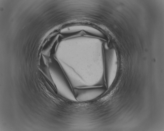 X0000067860830200605111731