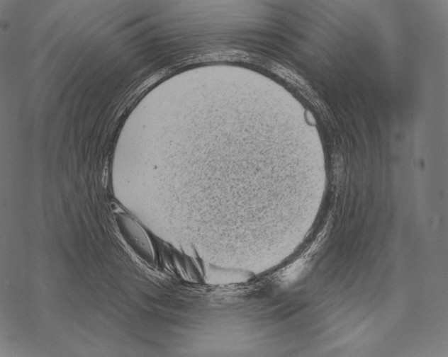 X0000067860841200605111732