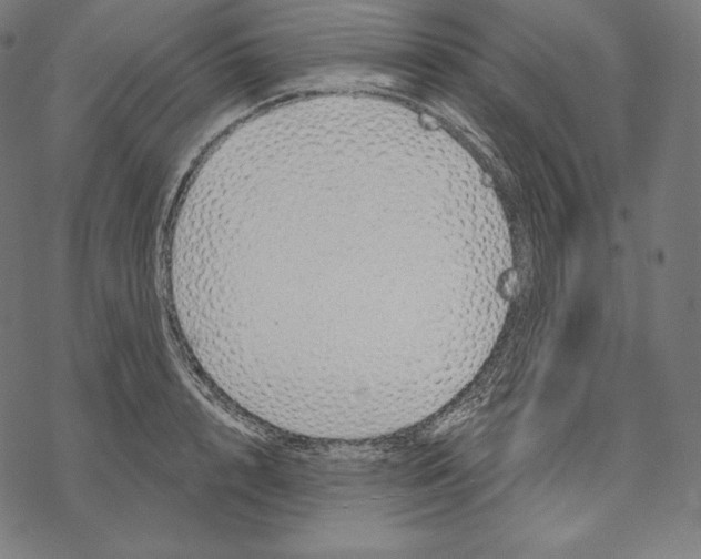 X0000067860848200605111732