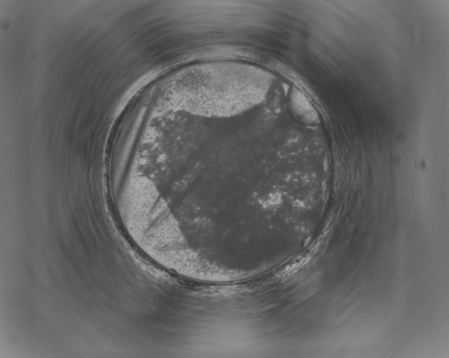 X0000067860853200605111732