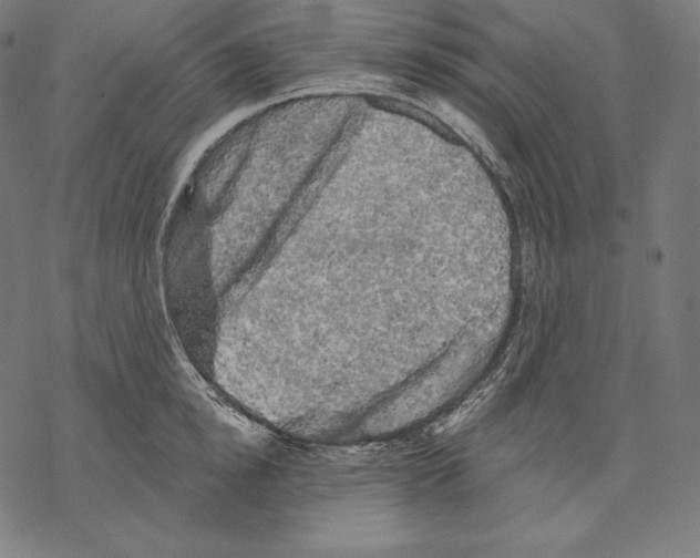X0000067860854200605111732