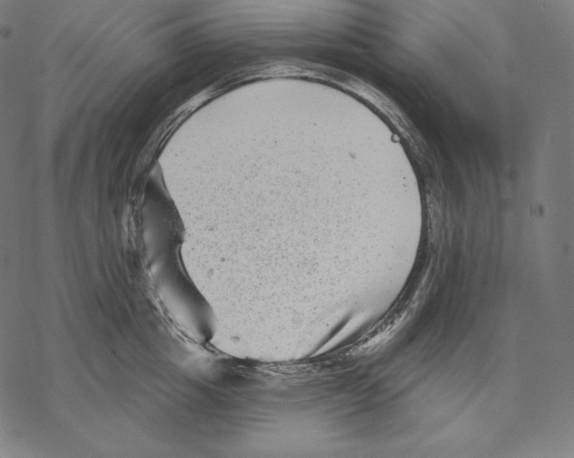 X0000067860857200605111732
