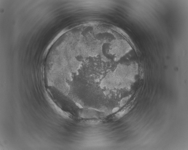 X0000067860859200605111732