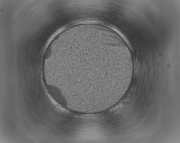 X0000067860861200605111732