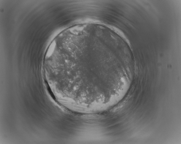 X0000067860863200605111732