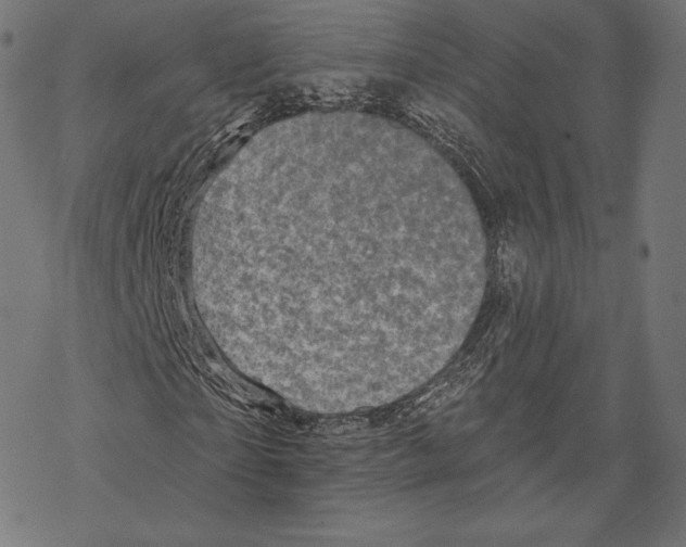 X0000067860865200605111731