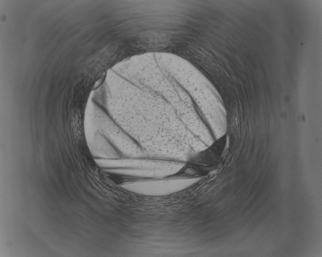 X0000067860866200605111731