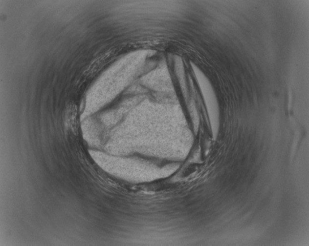 X0000067860867200605111731