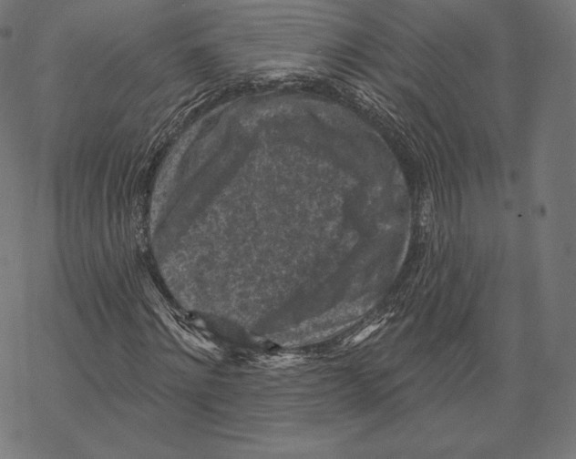 X0000067860868200605111731