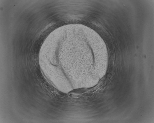 X0000067860870200605111731
