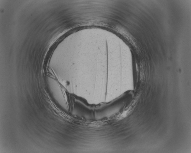 X0000067860876200605111731