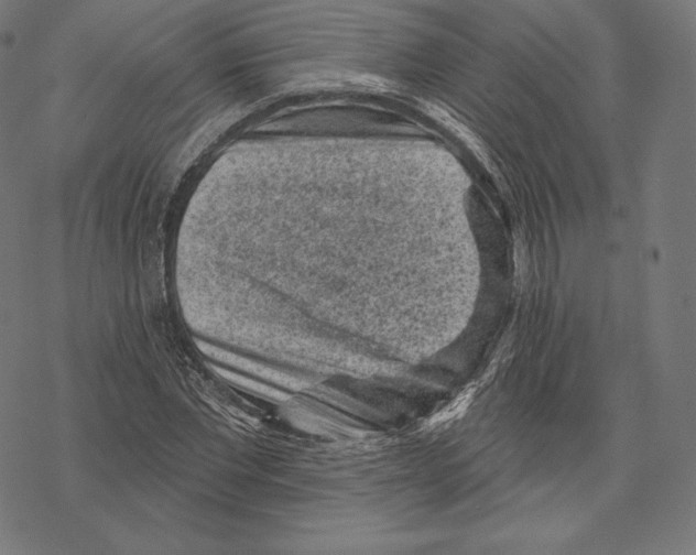 X0000067860877200605111731