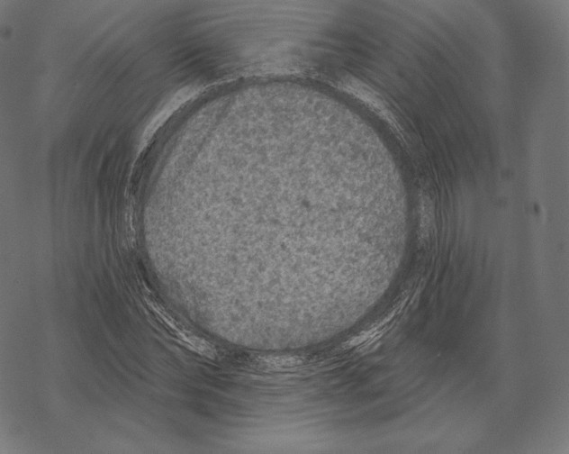 X0000067860878200605111731