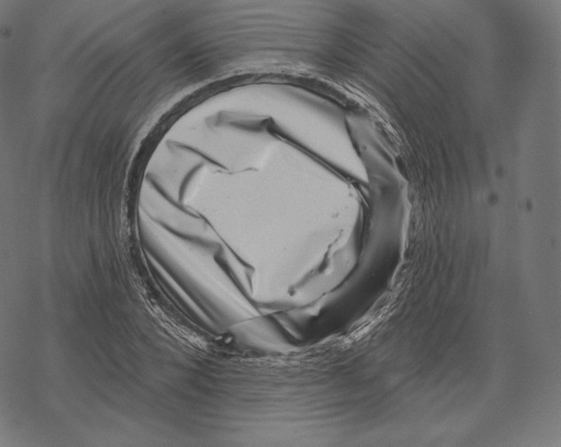 X0000067860880200605111731