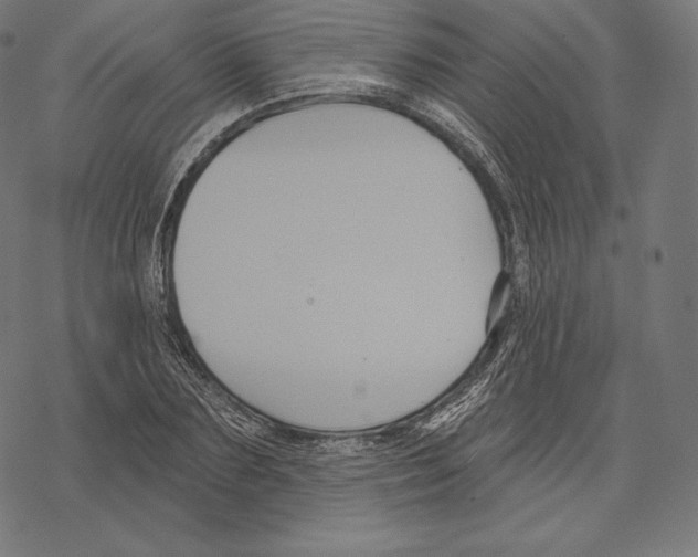 X0000067860883200605111731