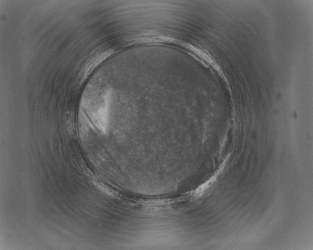 X0000067860889200605111731