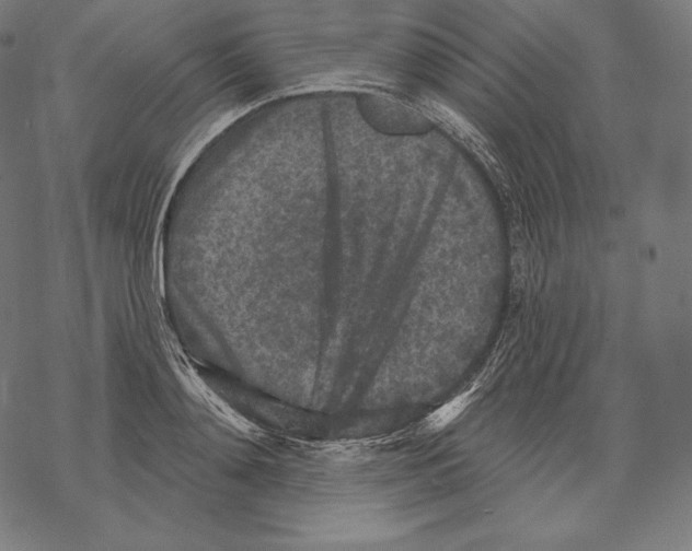 X0000067860892200605111731