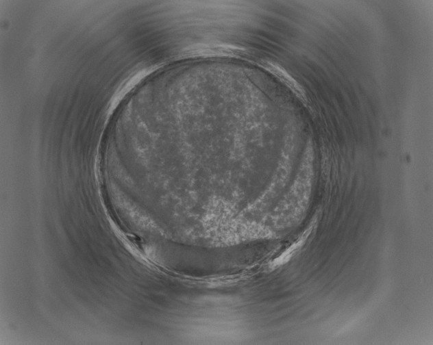 X0000067860893200605111731