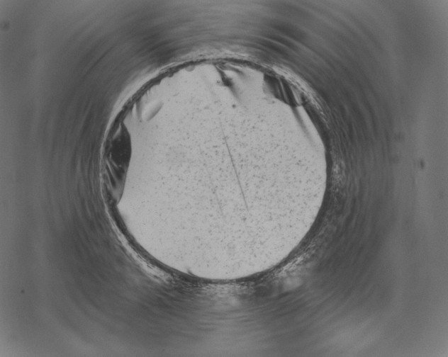 X0000067860894200605111731