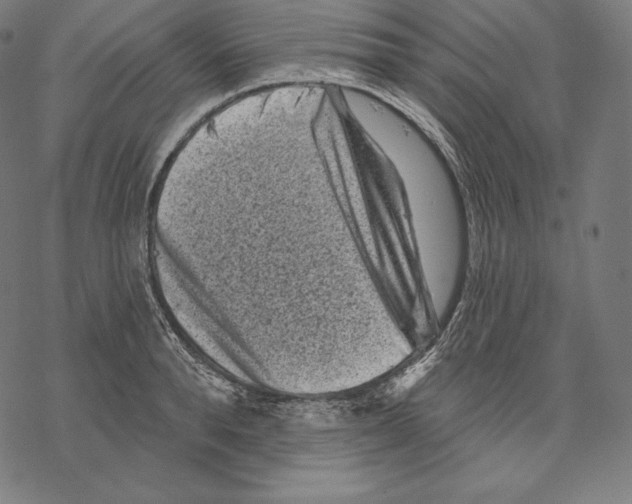 X0000067860896200605111731