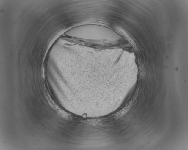 X0000067860900200605111731