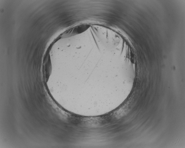 X0000067860902200605111730
