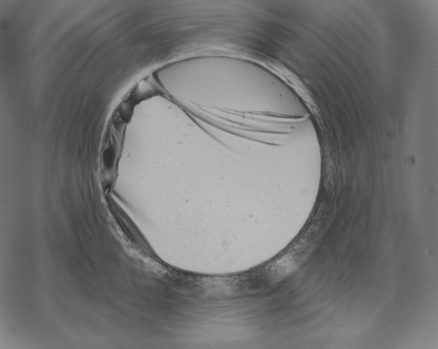 X0000067860904200605111730