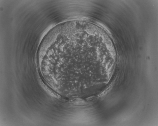 X0000067860907200605111730