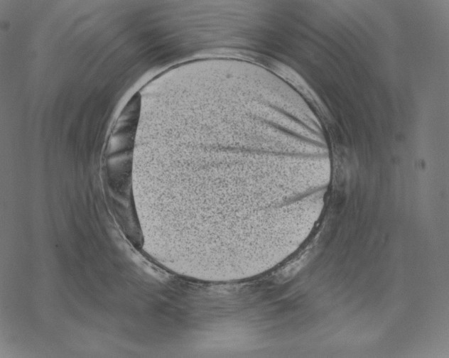 X0000067860908200605111730