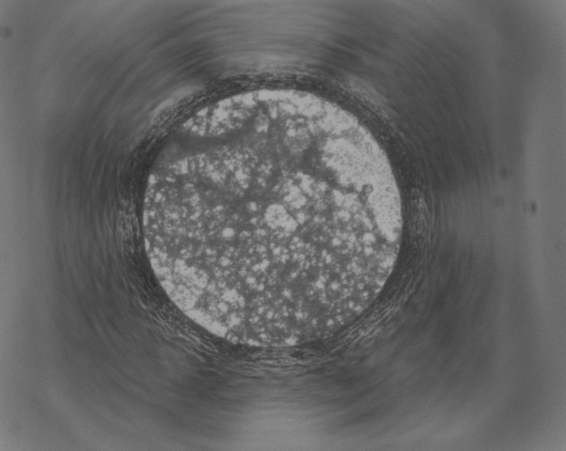 X0000067860918200605111730