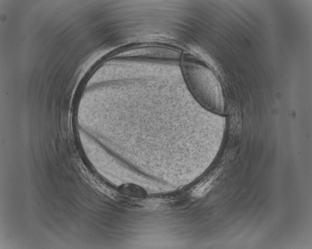 X0000067860932200605111730