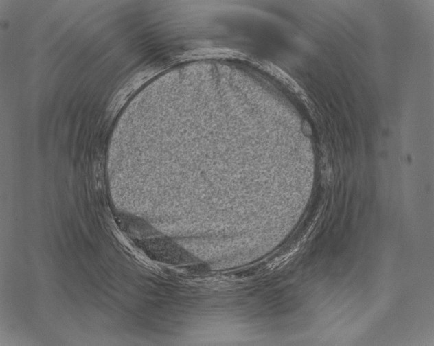 X0000067860937200605111730