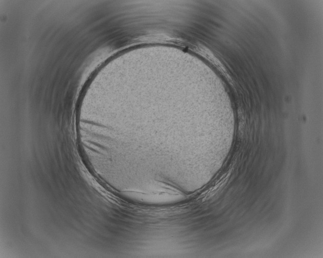 X0000067860939200605111730